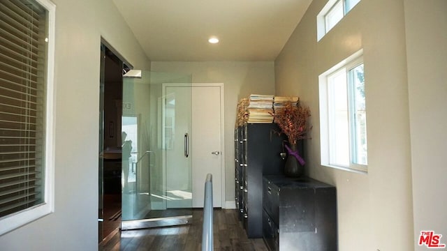 interior space with dark hardwood / wood-style flooring and plenty of natural light