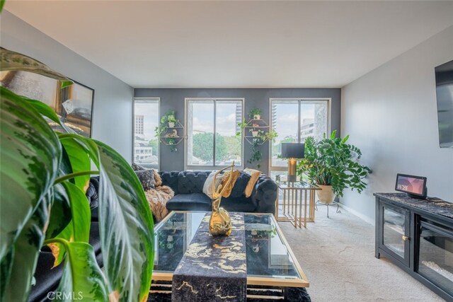 view of carpeted living room