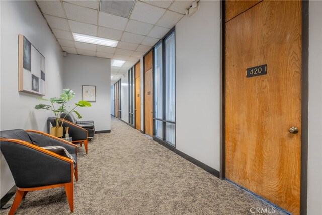 corridor featuring a paneled ceiling and carpet floors