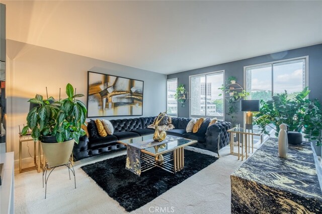 living room with carpet flooring