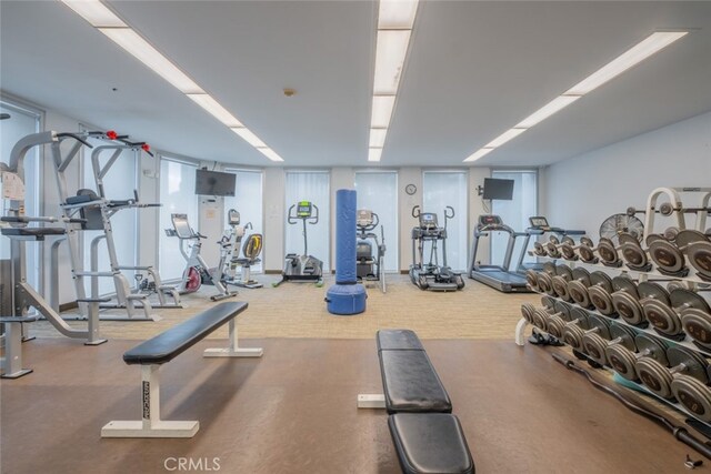 workout area featuring carpet