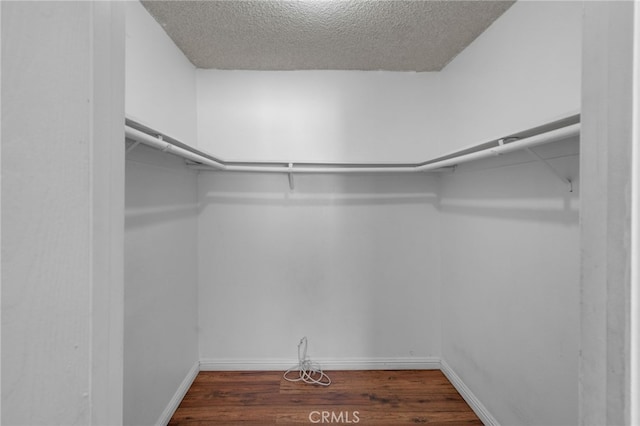 spacious closet featuring dark hardwood / wood-style floors