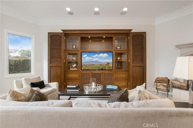 living room with ornamental molding