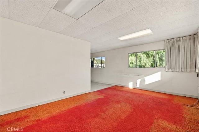 spare room with carpet flooring and a paneled ceiling