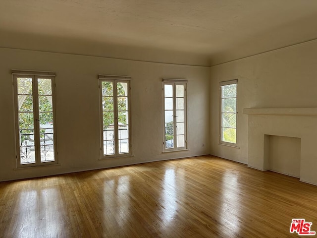 unfurnished living room featuring french doors, light hardwood / wood-style flooring, and plenty of natural light