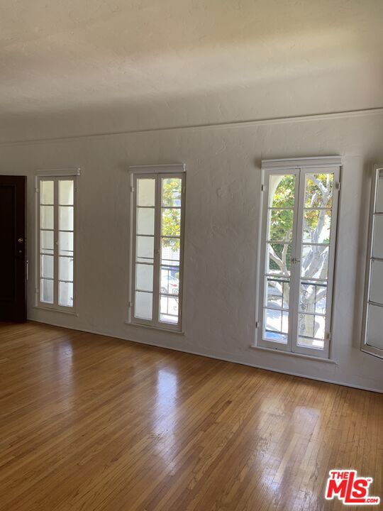 spare room with french doors, a wealth of natural light, and hardwood / wood-style floors