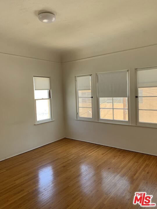 unfurnished room with hardwood / wood-style floors