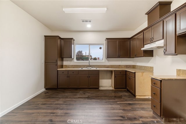 kitchen featuring dark hardwood / wood-style flooring, dark brown cabinets, and sink