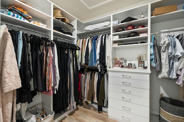 walk in closet featuring light hardwood / wood-style floors