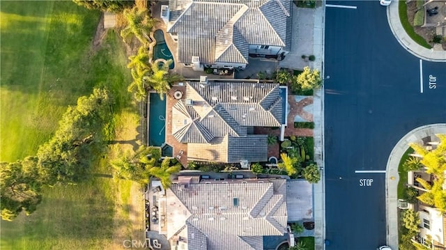 bird's eye view