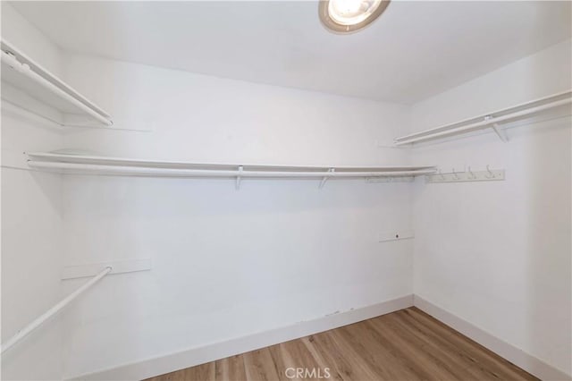 spacious closet with wood-type flooring