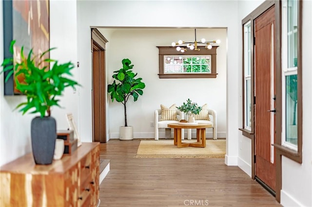 interior space with a chandelier and hardwood / wood-style floors