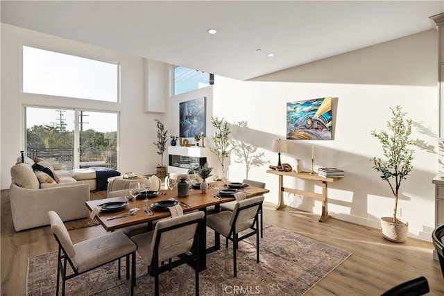 dining room featuring light hardwood / wood-style flooring and a high ceiling