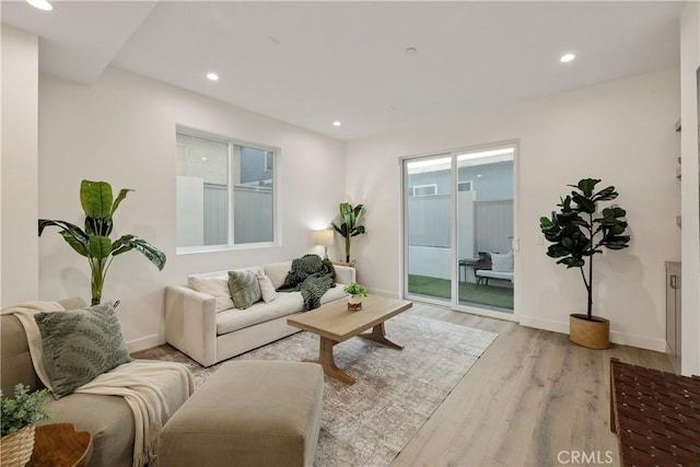 living room featuring light hardwood / wood-style flooring