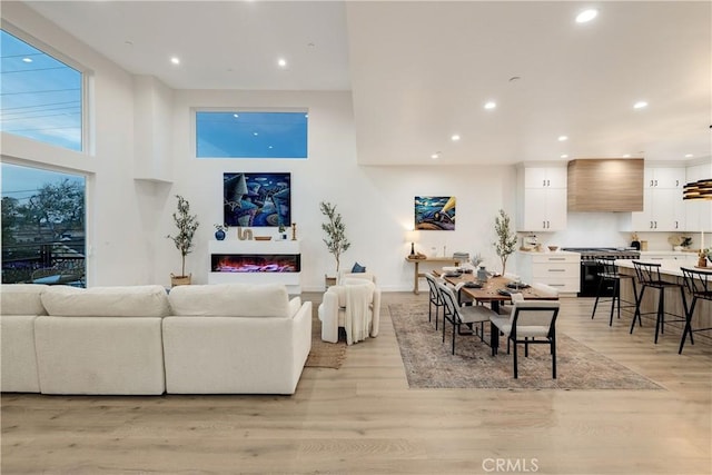 living room with light hardwood / wood-style flooring