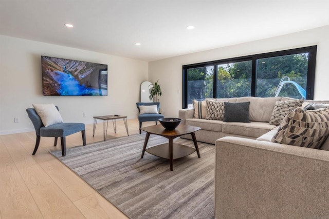 living room featuring light hardwood / wood-style floors