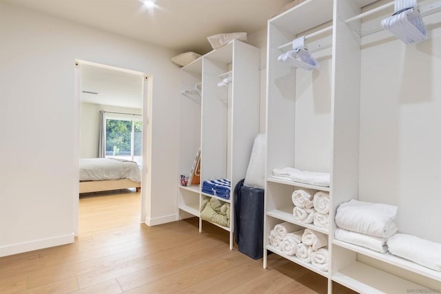 spacious closet featuring wood-type flooring