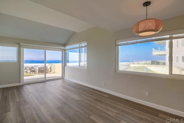 spare room featuring a water view, plenty of natural light, and dark hardwood / wood-style floors