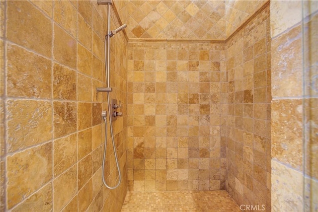 bathroom with a tile shower