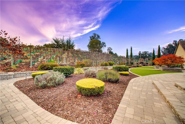 view of yard at dusk