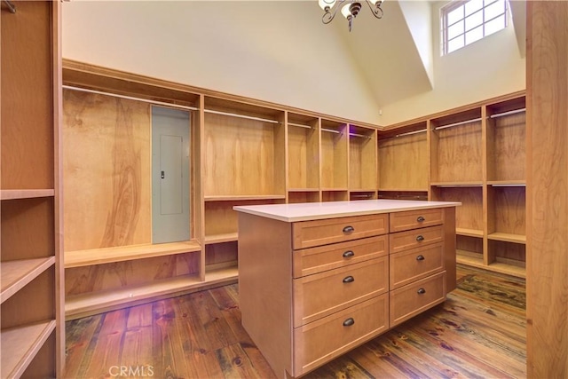 spacious closet with electric panel, high vaulted ceiling, and dark wood-type flooring