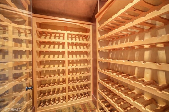 wine area with wood-type flooring