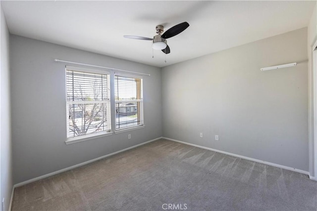 unfurnished room featuring ceiling fan and carpet flooring