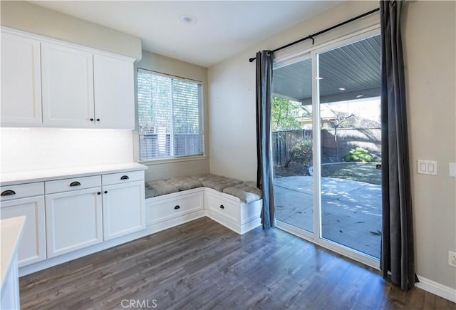 mudroom featuring dark wood-type flooring