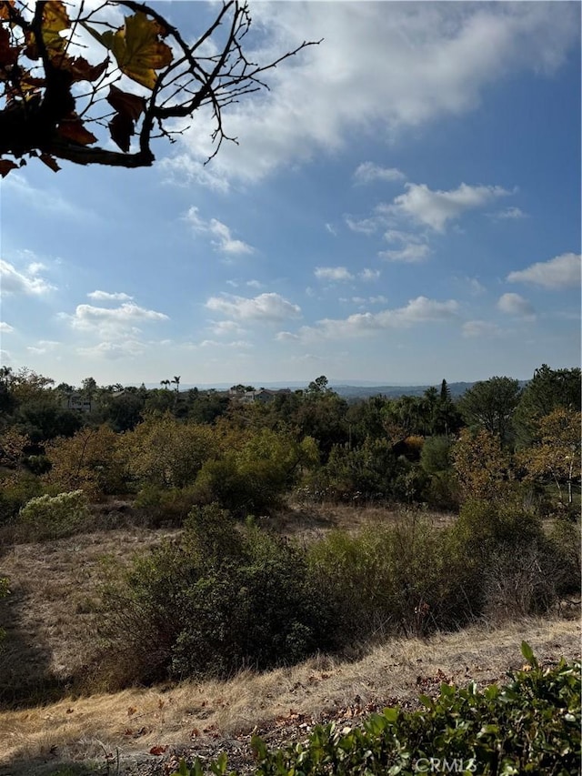 view of landscape