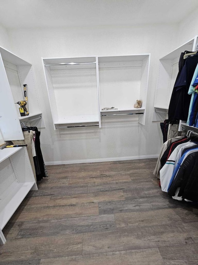 spacious closet featuring dark wood-type flooring