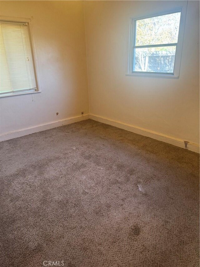 empty room featuring carpet