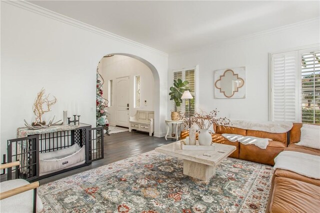 living room featuring ornamental molding and dark wood-type flooring