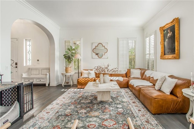 living room with crown molding and dark wood-type flooring