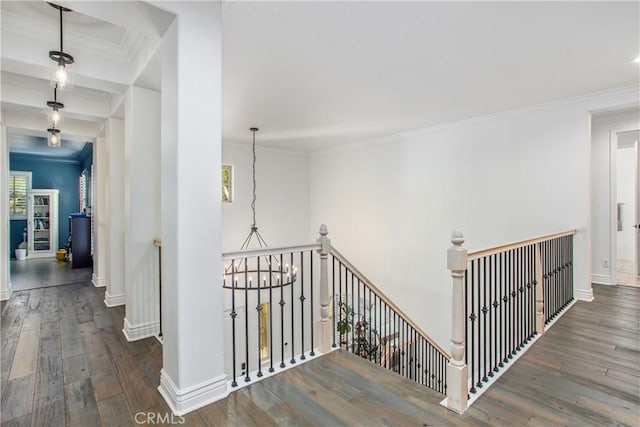 hall with a wealth of natural light, crown molding, a chandelier, and dark hardwood / wood-style floors