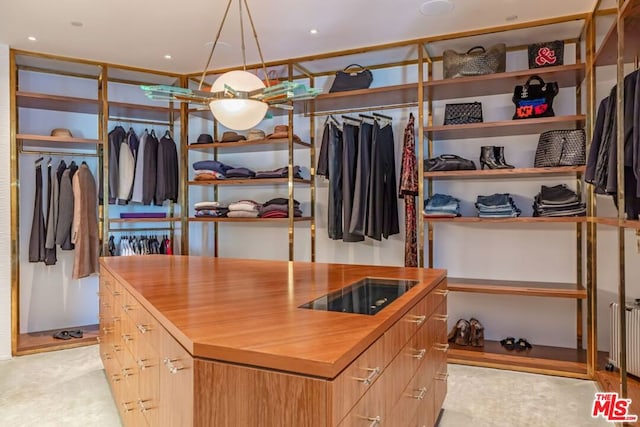 spacious closet featuring radiator heating unit