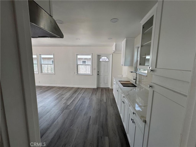 kitchen with white cabinets, dark hardwood / wood-style floors, light stone counters, and sink