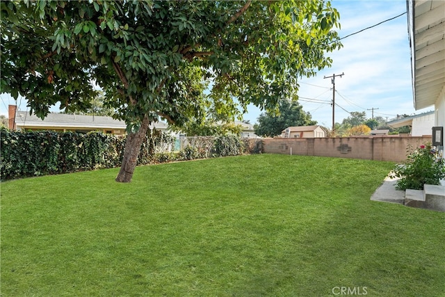 view of yard with a fenced backyard