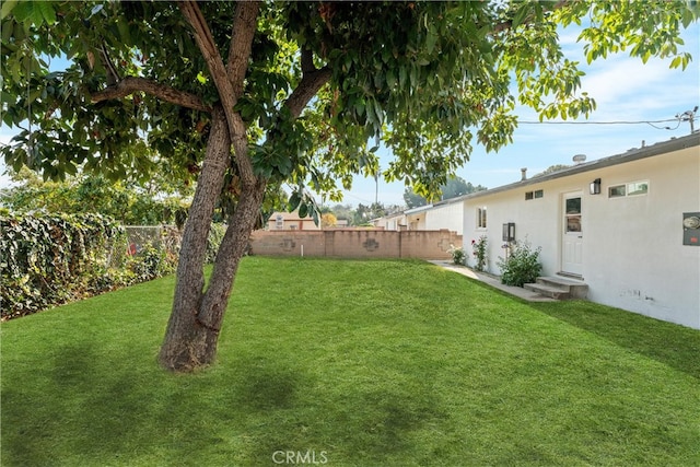 view of yard with entry steps and a fenced backyard