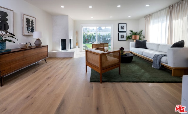 living room with a fireplace and light hardwood / wood-style flooring