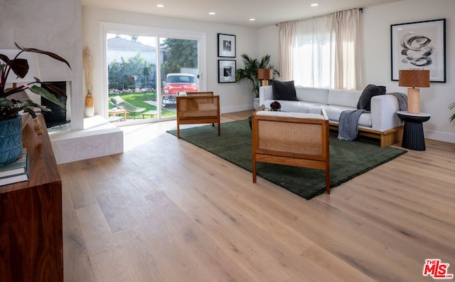 living room featuring a large fireplace and light wood-type flooring