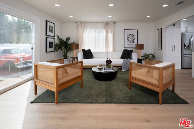 living room featuring light wood-type flooring