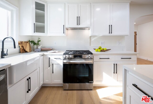 kitchen with light hardwood / wood-style flooring, stainless steel appliances, and white cabinetry