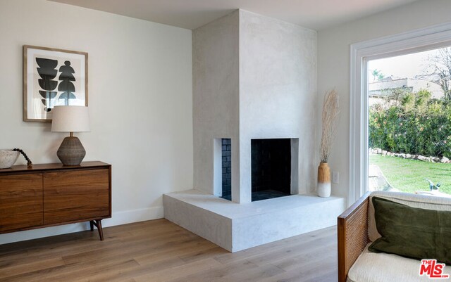 interior space featuring light hardwood / wood-style floors