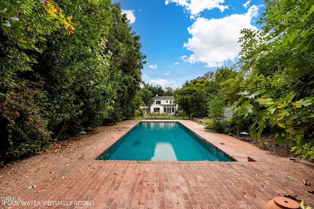 view of swimming pool with a patio area and a diving board