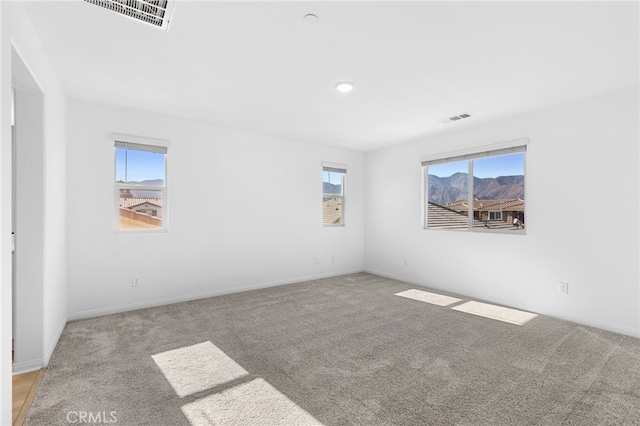 carpeted spare room with a wealth of natural light