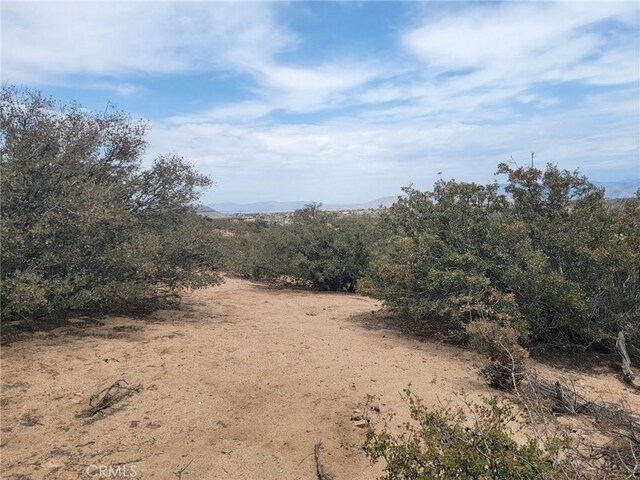 0 Daisy Rd, Oak Hills, CA 92344 - photo 8