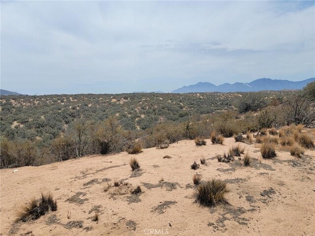 0 Daisy Rd, Oak Hills, CA 92344 - photo 4