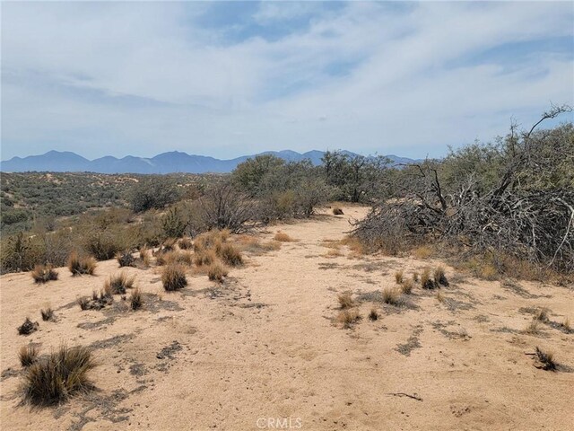 0 Daisy Rd, Oak Hills, CA 92344 - photo 5