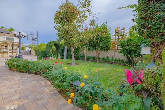 view of yard with a patio area and a pergola