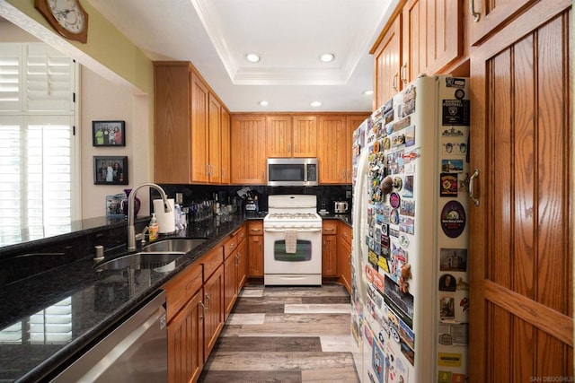 kitchen featuring hardwood / wood-style floors, a raised ceiling, sink, crown molding, and stainless steel appliances